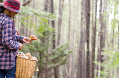 Rethinking Wealth – The Nordic Way