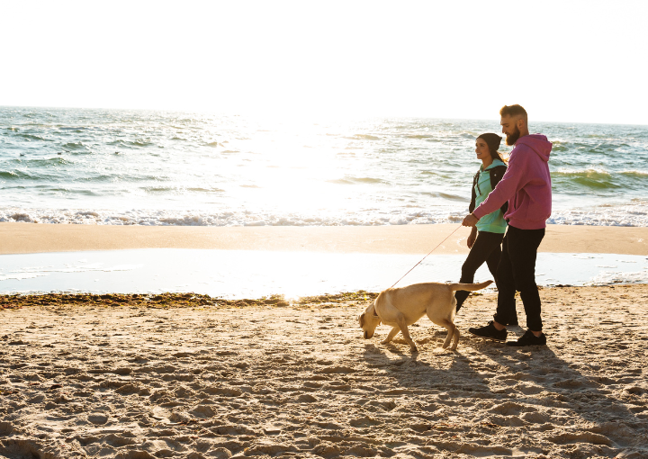 The 3 Nordic Secrets to a Longer, Healthier, and Happier Life